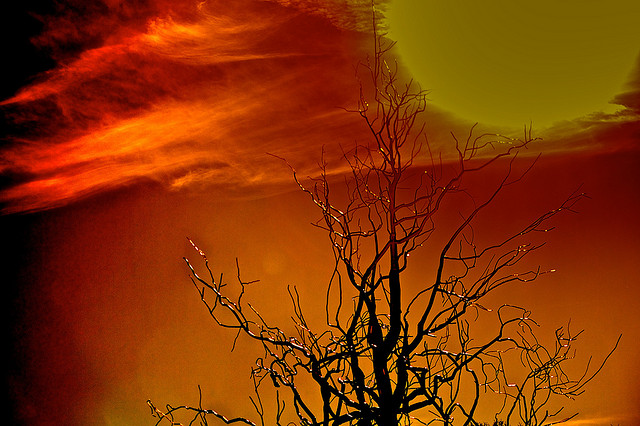 Extremes - Sakeeb Sabakka