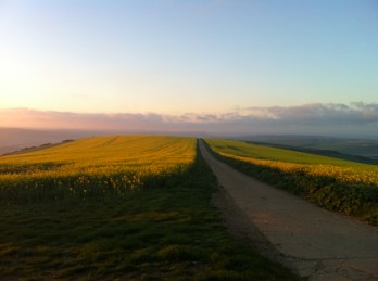 SDW Top of Kingston aka The Road to Hell